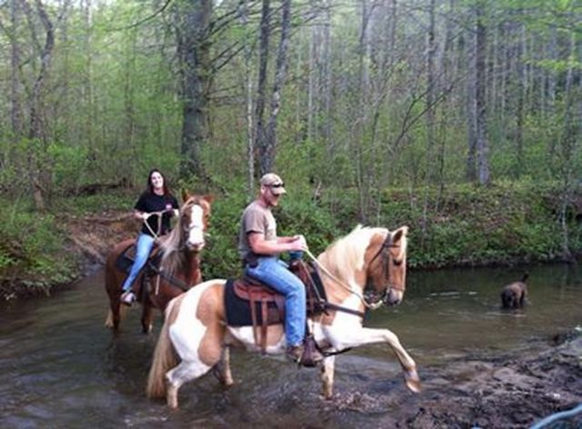 Blue Ridge Mountain Trail Rides at Hell's Hollow Adventure Outpost